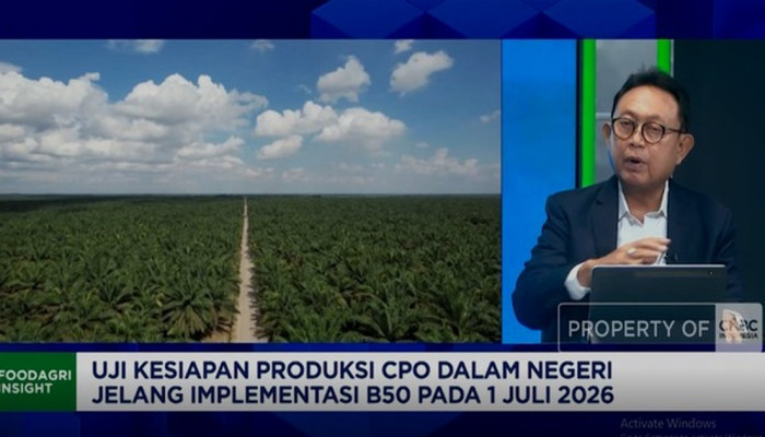 GAPKI: Produksi CPO RI Capai 51 Juta Ton, tapi Ekspor Terancam Turun Jika Peremajaan Sawit Rakyat Terhambat
