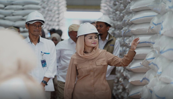 Harga Gabah Rp 6.500 per Kg, Anggota DPR Novita Wijayanti Cek Langsung Stok Beras Bulog Cilacap