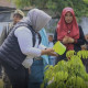 PP Al Iman Ponorogo Swasembada Beras dan Daging, Santri Kelola Sawah hingga Peternakan Sendiri