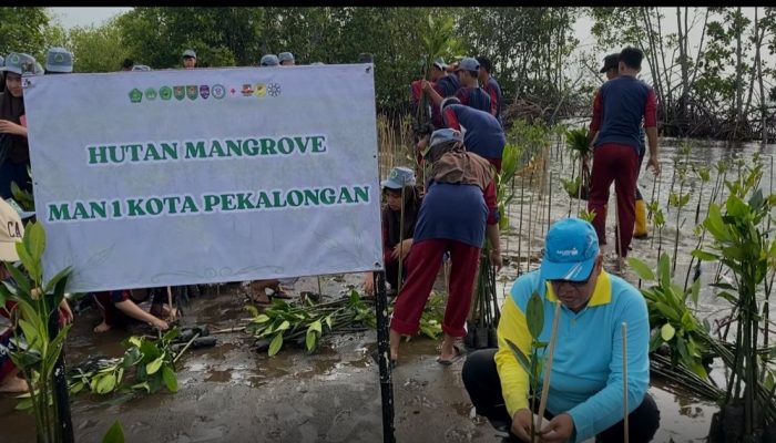 1.000 Mangrove Ditanam Siswa MAN 1 Pekalongan di Pesisir yang Terancam Abrasi