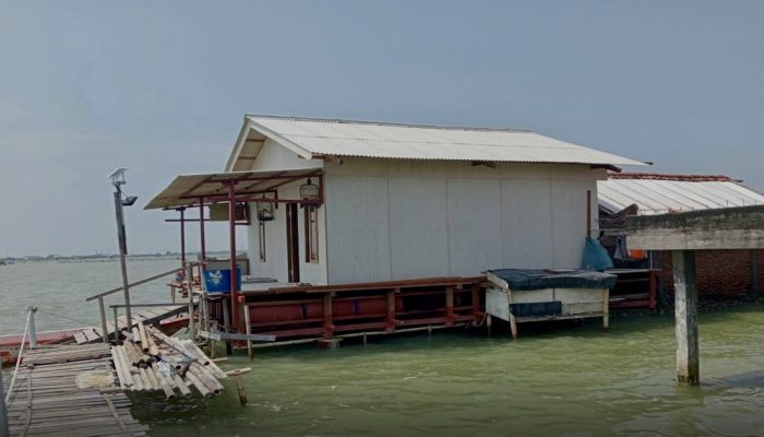 20 Rumah Apung Dibangun di Demak 2026, 3 Unit Sudah Mulai Konstruksi sejak Maret