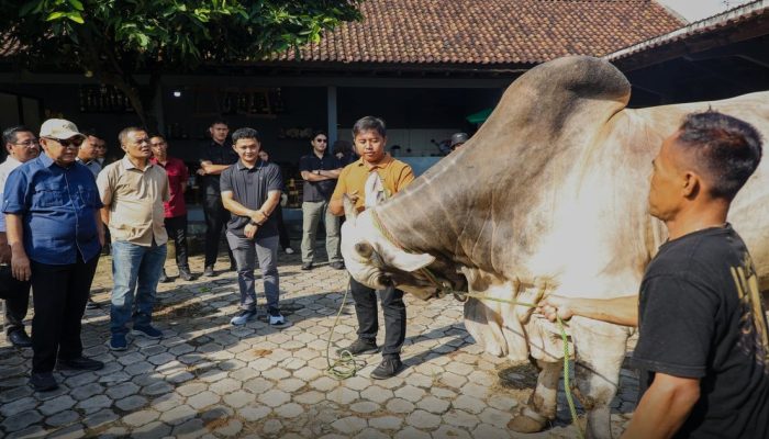 Dari 2 Ekor Jadi Ratusan Sapi Premium, Peternak Milenial Purworejo Ini Dikunjungi Ketua MPR