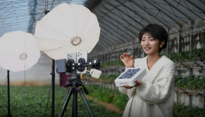 E-Commerce China Tumbuh 8 Persen di Q1 2026, Kopi Indonesia Melonjak 284,9 Persen