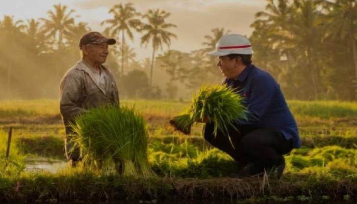 Irigasi DI Beo Talaud Hidup Lagi Setelah 4 Tahun Mati, Petani Tak Lagi Bergantung Hujan