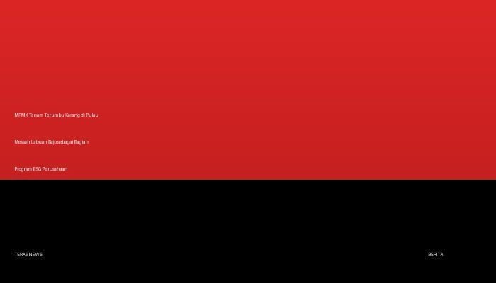 MPMX Tanam Terumbu Karang di Pulau Messah Labuan Bajo sebagai Bagian Program ESG Perusahaan