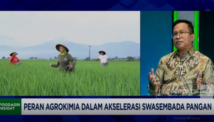 Permintaan Pestisida Naik 30% Seiring Program Swasembada Pangan Prabowo