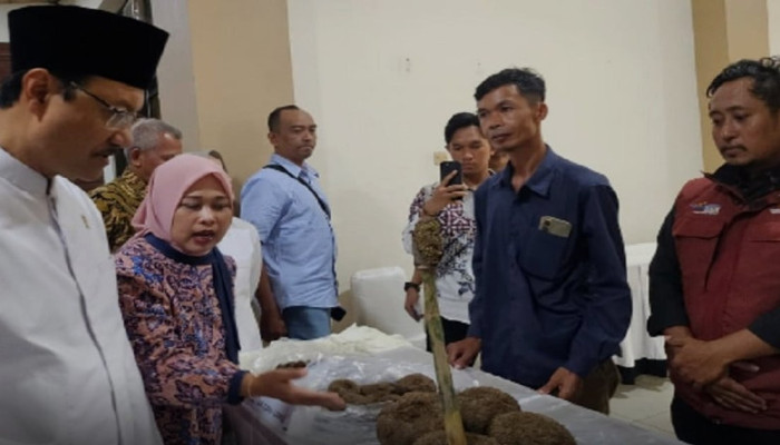 Program Desa Sejahtera Astra Dorong Potensi Lokal Lombok dan Bandung Lewat Kemitraan dengan Kampus