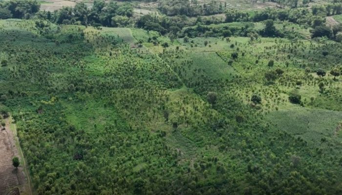 TPA Mrican Baru Ponorogo Seluas 9,3 Hektare Hanya Terima Sampah Residu, Warga Sekitar Tidak Keberatan