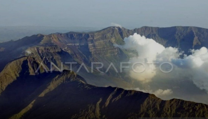 275 Spesies Flora-Fauna Jadi Modal NTB Ajukan Gunung Tambora ke UNESCO Global Geoparks