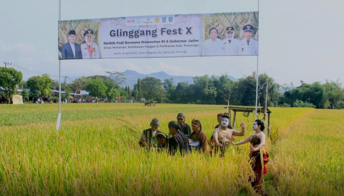 436.300 Ton GKG di 2025, Ponorogo Kukuh di 10 Besar Penghasil Padi Jawa Timur