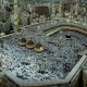 6 Keistimewaan Masjidil Haram yang Wajib Diketahui Setiap Jemaah Haji