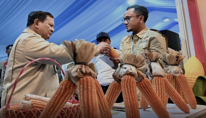 Cadangan Beras RI Capai 5,3 Juta Ton, Prabowo Groundbreaking 10 Gudang Pangan Polri di Tuban