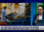 DMO CPO Anjlok dari 1,9 Juta Ton ke 1 Juta Ton, GAPKI Beberkan Biang Kerok Kelangkaan MinyaKita