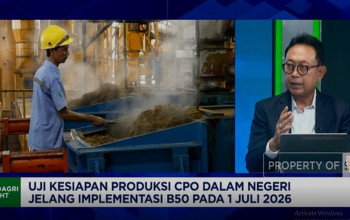 DMO CPO Anjlok dari 1,9 Juta Ton ke 1 Juta Ton, GAPKI Beberkan Biang Kerok Kelangkaan MinyaKita