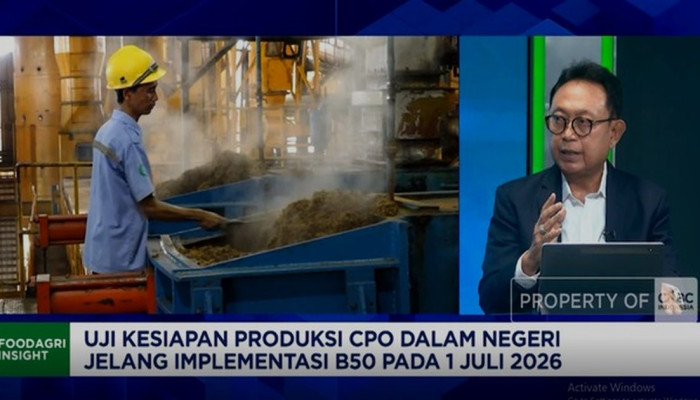 DMO CPO Anjlok dari 1,9 Juta Ton ke 1 Juta Ton, GAPKI Beberkan Biang Kerok Kelangkaan MinyaKita
