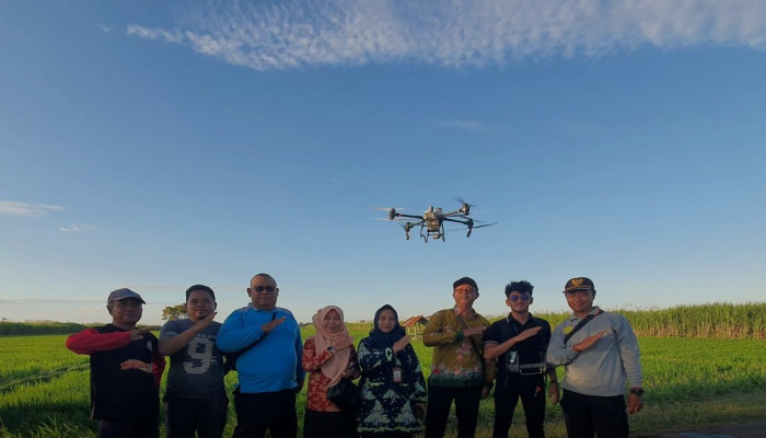 Gratis, Drone Pertanian Situbondo Semprot 5 Hektare Sawah dalam Satu Jam