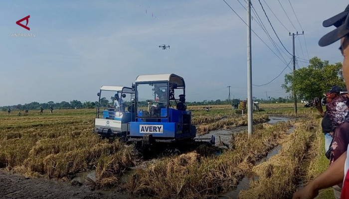 Gubernur Jawa Timur Perintahkan Percepatan Tanam Padi untuk Hadapi El Niño Musim Kemarau