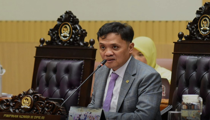 Habiburokhman Minta Polisi Hentikan Proses Laporan Terhadap Herawati, Mantan ART yang Diduga Dianiaya Erin Taulany