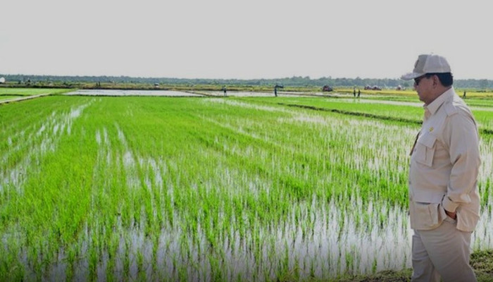 Harga Pupuk Subsidi Turun 20%, Lebih dari 16 Juta Petani Indonesia Bakal Hemat Ratusan Ribu per Hektare
