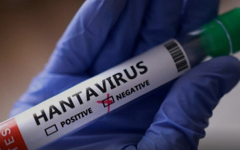 Klaim Hantavirus Efek Samping Vaksin Pfizer Beredar di Medsos, Ini Faktanya