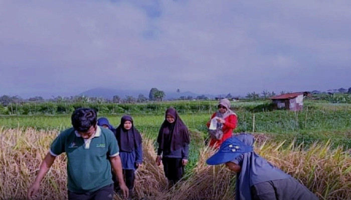 Laba Asuransi Umum dan Reasuransi Capai Rp4,22 Triliun di Maret 2026, Premi Harta Benda Jadi Penopang Terbesar