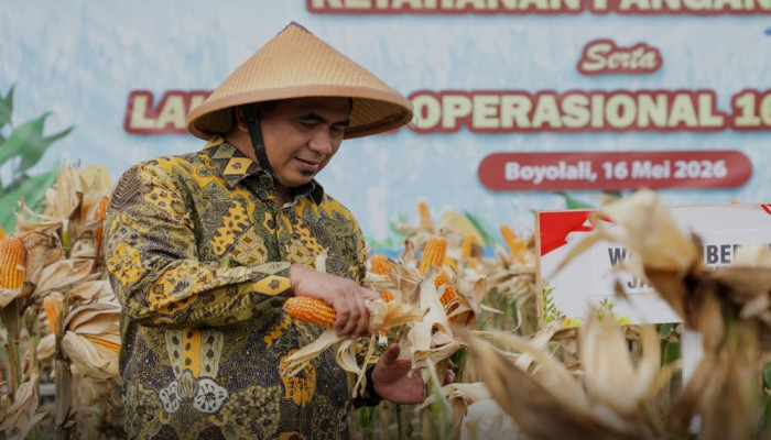 Panen Jagung Serentak 189.760 Hektare, 100 Ton Diekspor ke Malaysia dengan Margin Rp500 per Kg