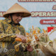 Panen Jagung Serentak 189.760 Hektare, 100 Ton Diekspor ke Malaysia dengan Margin Rp500 per Kg