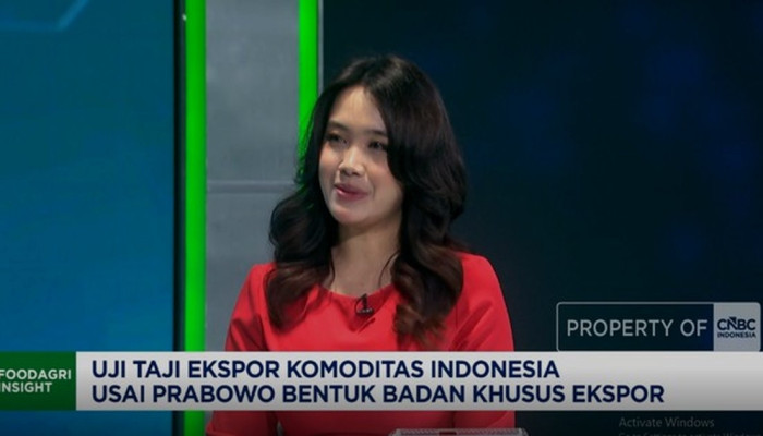 Prabowo Bentuk BUMN Khusus Ekspor Sawit dan Batu Bara, Devisa 2025 Capai Rp 1.100 Triliun