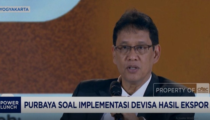 Purbaya Bongkar Alasan Prabowo Bentuk DSI: Eksportir Terbukti Mainkan Harga