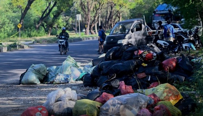 Sampah Bali 3.400 Ton Per Hari Menumpuk, Tikus Serbu Kuta dan Wisatawan Mengeluh