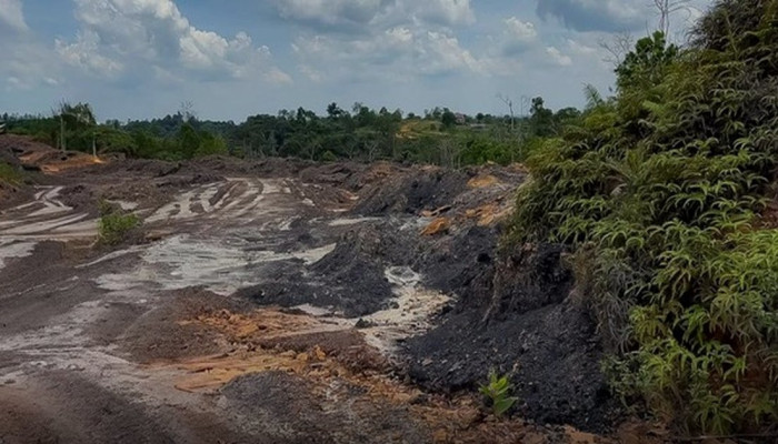 Satgas Lintas 10 Lembaga Dibentuk Sejak 2023, Tambang Ilegal di Kawasan IKN Terus Digebuk