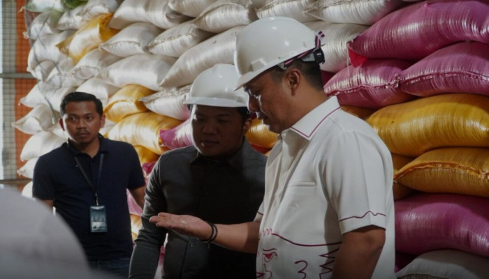 Stok Beras Bulog Wajo Aman Setahun ke Depan, DPR Minta Distribusi Tepat Sasaran