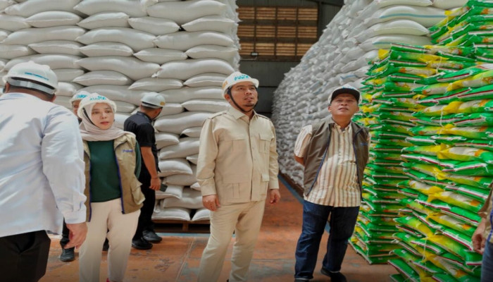 Stok Pangan Jambi Aman 7 Bulan, Bulog Pegang 14 Ribu Ton Beras per 1 Mei 2026
