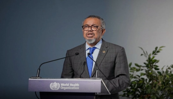 WHO Peringatkan Kasus Hantavirus Andes Bakal Bertambah Setelah 11 Orang Terinfeksi