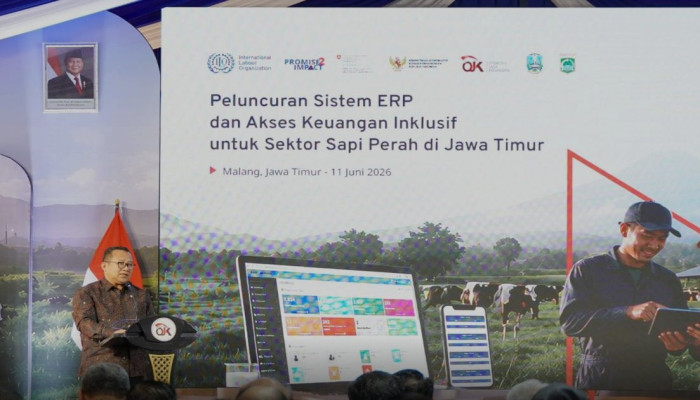 10.000 Peternak Sapi Perah di Jawa Timur Kini Punya Profil Kredit Digital Lewat Sistem ERP OJK-ILO