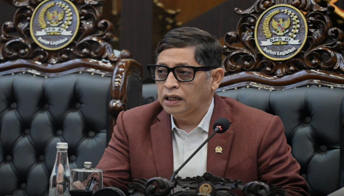 9 dari 15 RUU Kabupaten/Kota Kalimantan Lolos Harmonisasi Tanpa Koreksi di Baleg DPR
