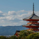 Bunga Stewartia di Kuil Torin-in Kyoto: Mekar Satu Hari, Gugur Membawa Makna Hidup