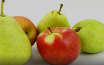 Fruktosa dalam Buah Bisa Picu Asam Urat? Guru Besar IPB Beri Penjelasan