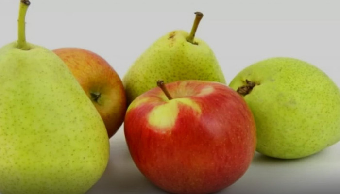 Fruktosa dalam Buah Bisa Picu Asam Urat? Guru Besar IPB Beri Penjelasan