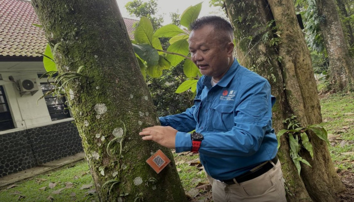 Kemenhut: Menebang Pohon Secara Teratur Justru Cegah Kebakaran Hutan dan Banjir
