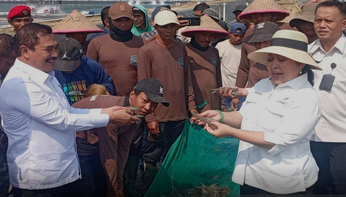 Lahan Tidur Nusakambangan Kini Hasilkan Padi, Anggur, hingga Sidat, DPR Minta Daerah Lain Ikuti