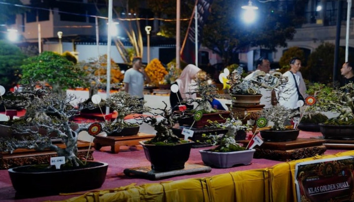 Pameran Bonsai Grebeg Suro 2026 Ponorogo Digelar di Dua Lokasi, Berlangsung Dua Pekan Penuh