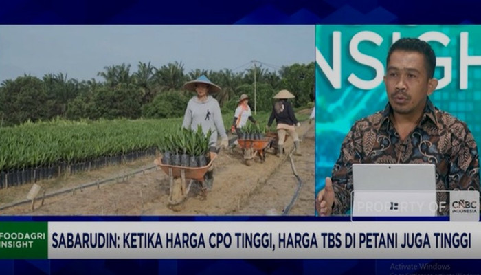 Rp 100 Miliar Per Hari Melayang, 2-3 Juta Petani Sawit Tanggung Kerugian Akibat Kebijakan Ekspor Satu Pintu