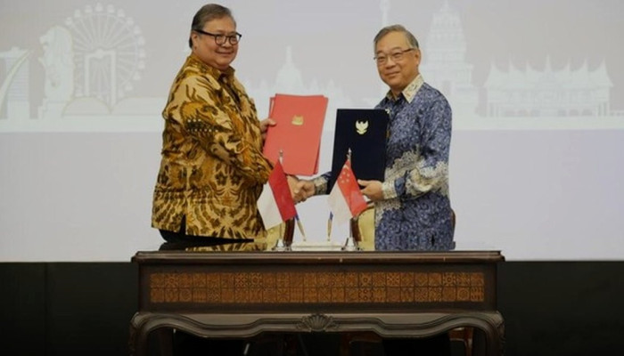 Singapura Hormati Kebijakan Ekspor Satu Pintu RI Lewat PT DSI untuk Sawit, Batu Bara, dan Besi